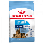 Royal Canin Maxi Starter корм для Щенков Крупных пород (до 2 месяцев)